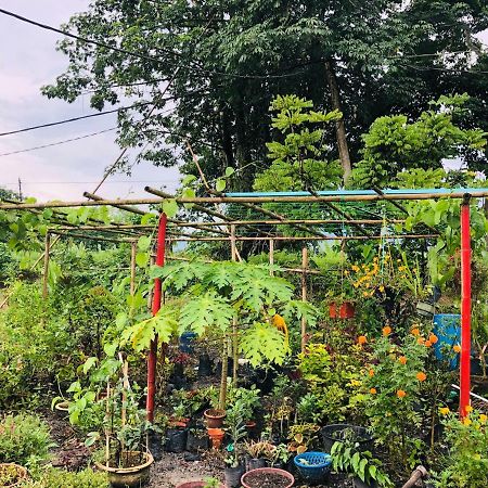 Atocha Homestay - Terong@Taiping Kampong Salak Zewnętrze zdjęcie
