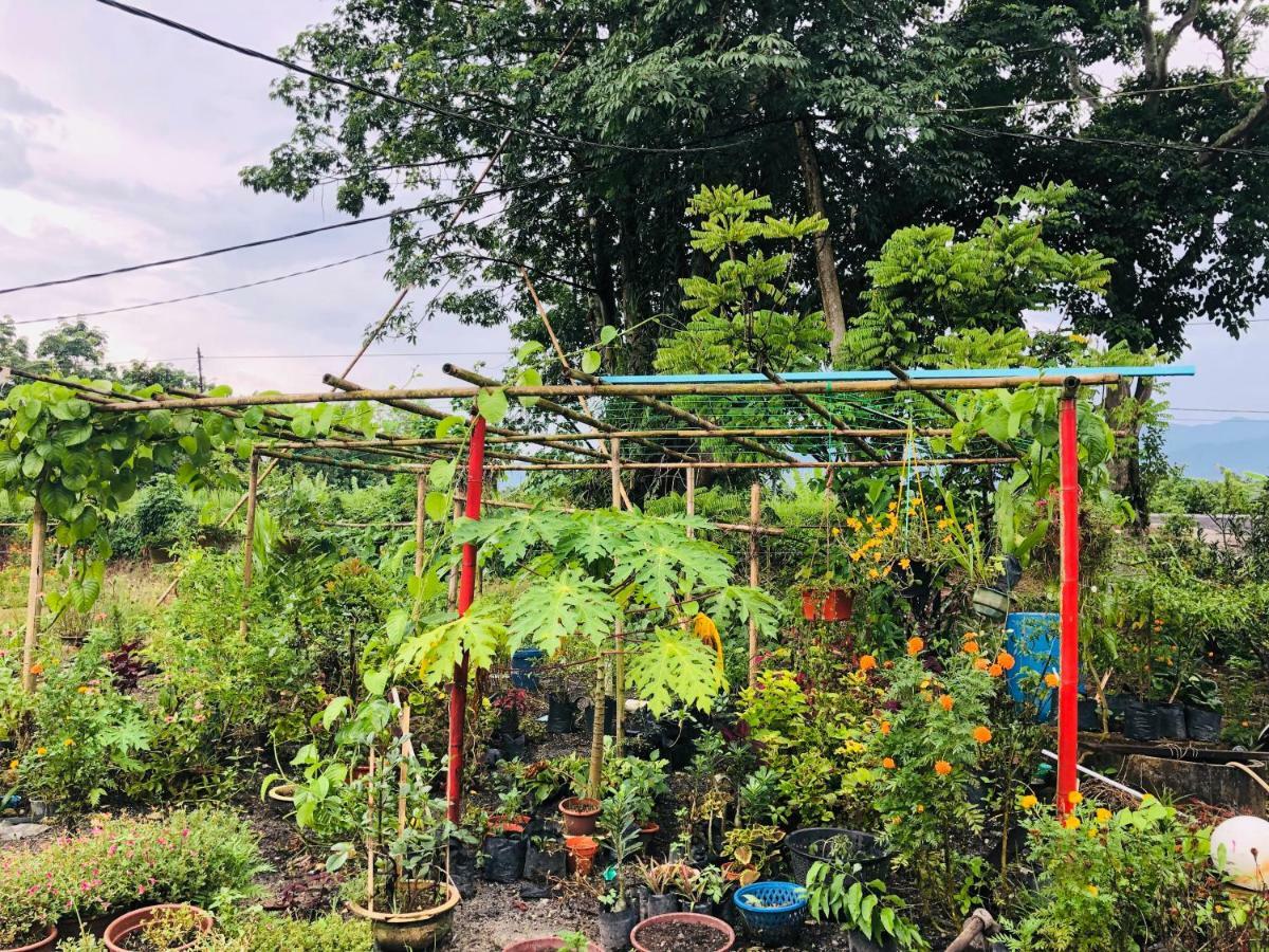 Atocha Homestay - Terong@Taiping Kampong Salak Zewnętrze zdjęcie